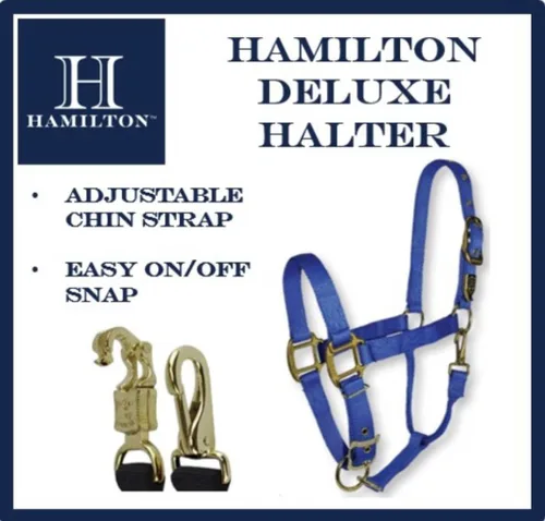Miniatura 4 de Hamilton, Halter de 1 pulgada con barbilla ajustable, azul baya, 800-1100 libras
