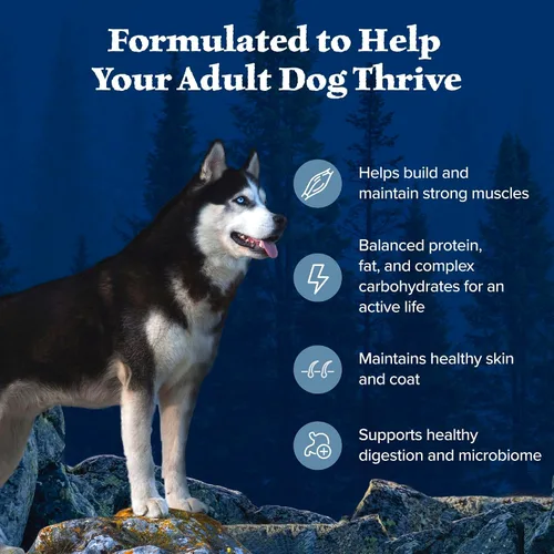 Miniatura 5 de Blue Buffalo Wilderness - Alimento seco natural con alto contenido proteínico para perros adultos, pollo, 24 libras