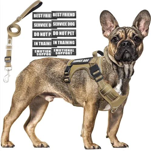 Miniatura 11 de Juego de arnés táctico para perros y correa para perros grandes, chaleco de perro de servicio resistente sin tirones y 10 parches con cinturón