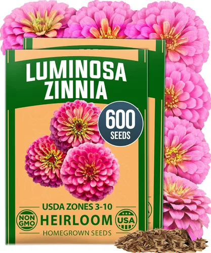 Miniatura 139 de HOME GROWN Mezcla de semillas germinantes de primera calidad, microgreens 118,200 semillas para cultivo en interiores, brócoli, alfalfa, rábano