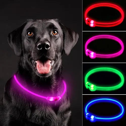 Miniatura 8 de NOVKIN Collar de perro con luz LED, collar de perro con luz recargable, luces para perros impermeables IP67 para caminar por la noche, collar de Rojo