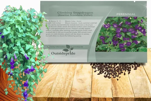 Miniatura 8 de Outsidepride Mix Asarina Climbing Snapdragon Seeds - 100 semillas de flores perennes para plantar, enredaderas trepadoras fáciles de cultivar