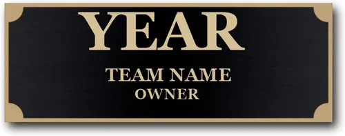 TrophySmack Placa ganadora – Placa de nombre grabada personalizable – Premio de campeón de trofeo de fútbol de fantasía (plata o negro)