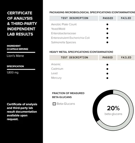 Miniatura 5 de Toniiq Lion's Mane - Extracto 10:1 de ultra alta potencia con polisacáridos al 30% - altamente concentrado y bioactivo - probado en laboratorio