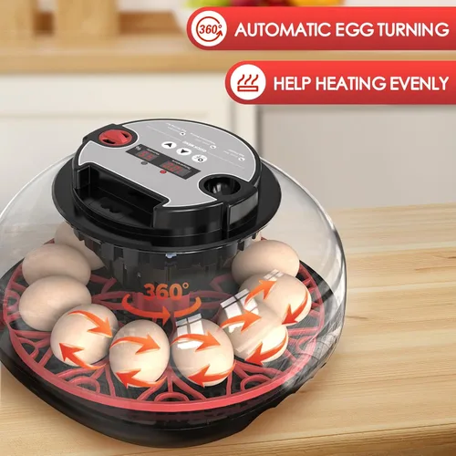 Miniatura 5 de Incubadoras para eclosionar huevos Incubadora automática de huevos con control de temperatura, pantalla de humedad, capacidad para 12 huevos