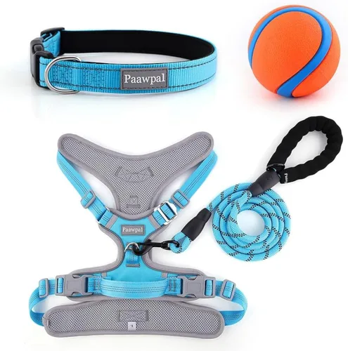 Miniatura 5 de Arnés ajustable para perro, sin tirones, reflectante, acolchado suave para perros pequeños, medianos y grandes, incluye correa y collar, beige, XS