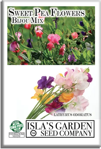 Bijou Mix Sweet Pea Flower, 25 semillas de flores tradicionales por paquete, nombre botánico: Lathyrus odoratus, Isla's Garden Seeds