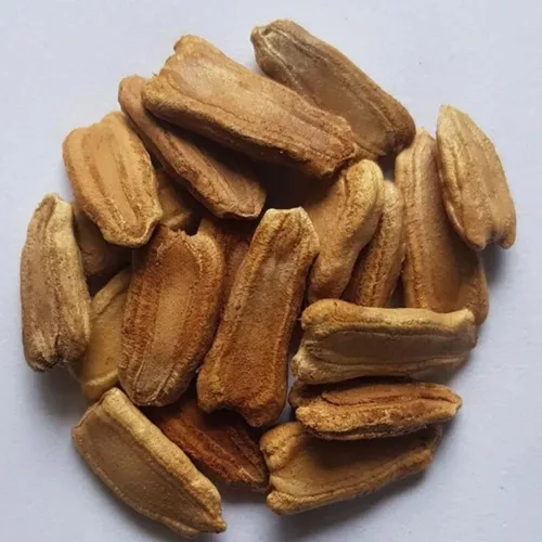 Paquete de 2 x 100 semillas – Semillas de calabaza de botella larga para plantar – Semillas de Calabash u Opo | Semillas de calabaza de flores