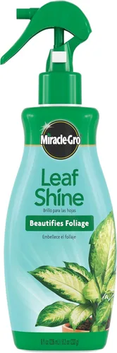 Miniatura 6 de Miracle-Gro Leaf Shine Spray para plantas de interior de hojas duras, limpia y embellece el follaje, 8 onzas líquidas (paquete de 2)