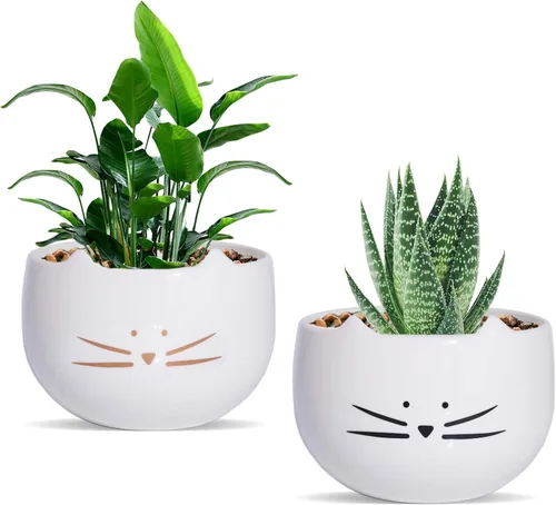 Koolkatkoo Juego de 2 macetas para suculentas de 5.5 pulgadas, diseño de cactus, macetas blancas