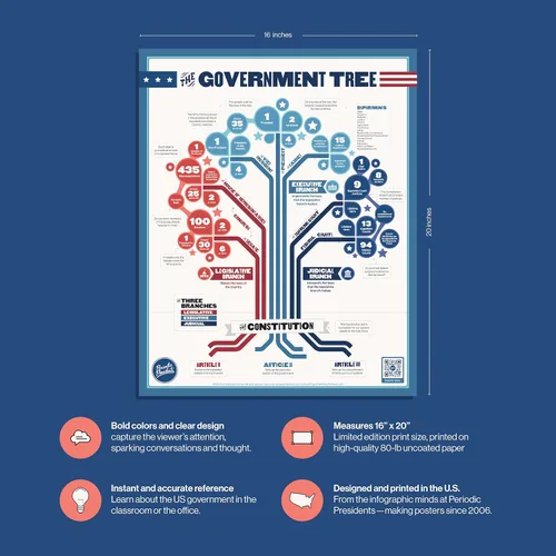 Miniatura 2 de El árbol del gobierno Póster de aula de 16 x 20 pulgadas Estudios sociales Historia de los Estados Unidos Ciudad Gobierno