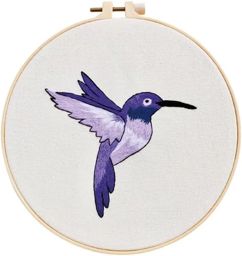 Kit de iniciación de bordado estampado para principiantes, colibrí con patrón para principiantes, aros de tela, hilos de costura, arte de punto de
