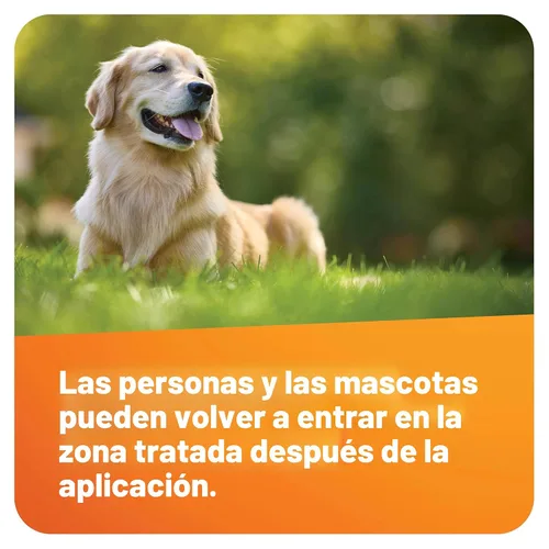 Miniatura 9 de Scotts - Fungicida para césped DiseaseEx, Controla y previene enfermedades hasta por 4 semanas, trata hasta 5.000 pies cuadrados, 10 libras.