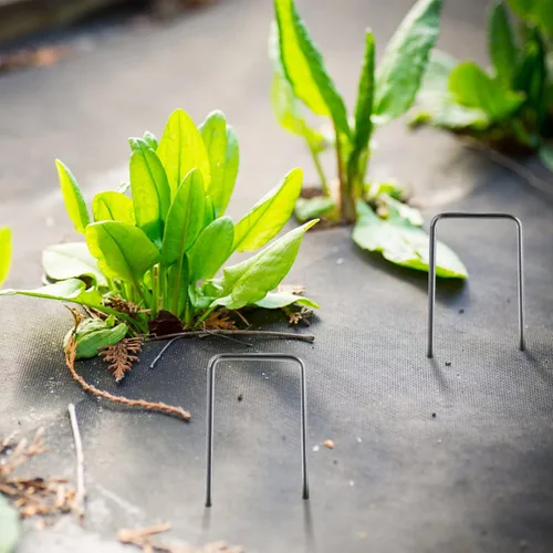 Miniatura 2 de Estribos de jardín, paquete de 100 clavijas de jardín de 6 pulgadas de acero inoxidable resistente en forma de U para anclar pasadores de césped