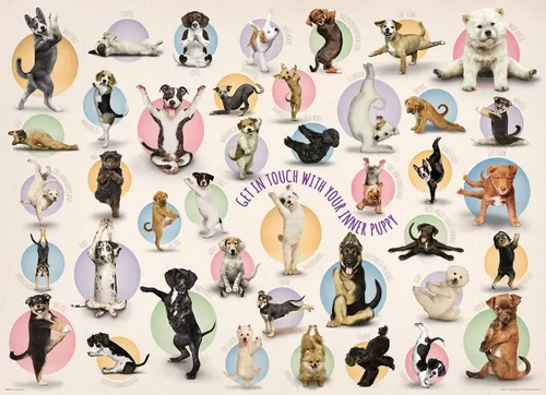 Miniatura 2 de EuroGraphics Yoga Puppies - Rompecabezas de 300 piezas (caja pequeña), multicolor