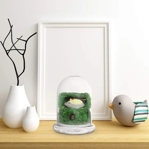 Miniatura 9 de 2 cúpula de cristal Cloche con orificio de aire y base, terrario de vidrio transparente, cúpula de humedad para plantas pequeñas, decoración de mesa