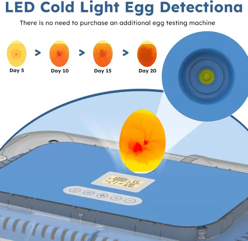Miniatura 4 de Incubadora de huevos para incubar 70 huevos de pollo, pato, codorniz y ganso - Girador automático de huevos, control de humedad y temperatura, vela