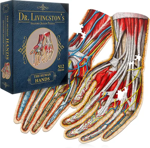 Rompecabezas de anatomía de manos humanas del Dr. Livingston, un rompecabezas de manos médicamente preciso, juguete educativo y atractivo sobre el