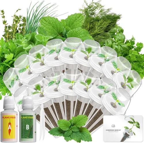 Miniatura 9 de Kit de cápsulas de semillas de hierbas gourmet compatible con AeroGarden, idoo, Ahopegarden, Gardencube con albahaca, perejil, tomillo, menta