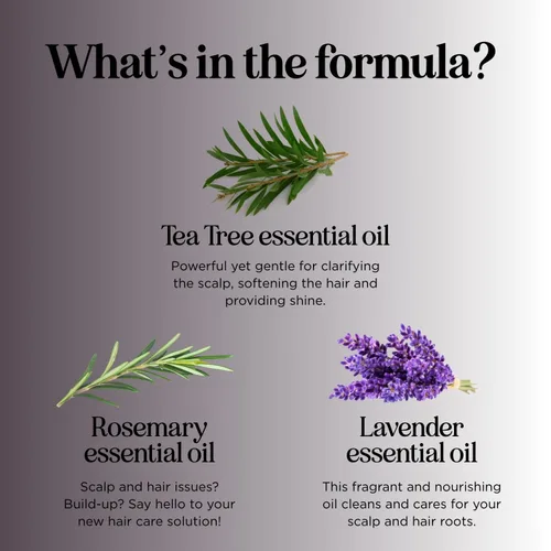 Miniatura 4 de Champú de árbol de té, Puro y Natural para Hombres y Mujeres, Cuidado anticaspa, Apto para cabellos teñidos, Hecho en Estados Unidos por Maple