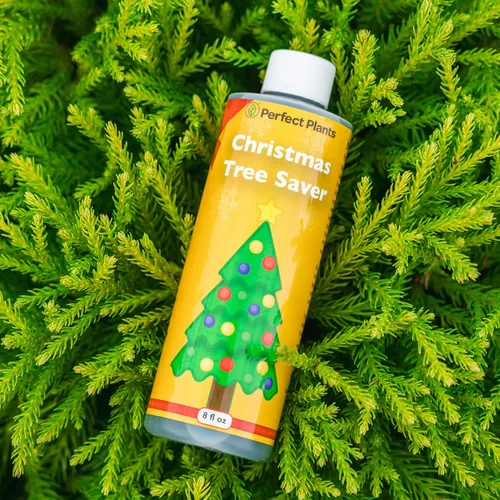 Miniatura 7 de Perfect Plants Conservador de Árbol de Navidad 8oz. Alimento Conservador de Árboles de Navidad Fácil de Usar Ten Árboles de Navidad Verdes