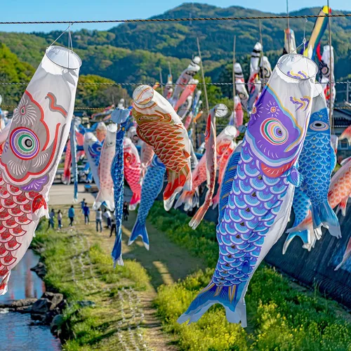 Miniatura 4 de Boao 10 piezas de cometa de bandera de pez japonesa de carpa de 15.7 pulgadas, calcetines de viento colgantes japoneses para jardín, patio trasero