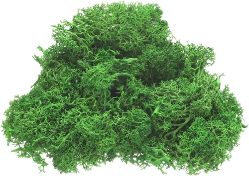 Miniatura 14 de uxcell Musgo de reno preservado, musgo falso de 4 onzas para manualidades, musgo seco artificial para decoración, manualidades, terrarios, plantas