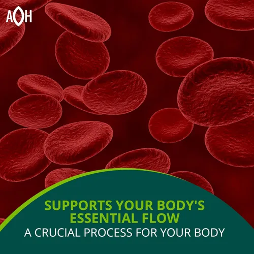 Miniatura 4 de ADAPTOHEAL Circuheal - Mezcla adaptogénica con 7 extractos botánicos de alto concentrado incluyendo astrágalo, ginkgo biloba y reishi - Fórmula