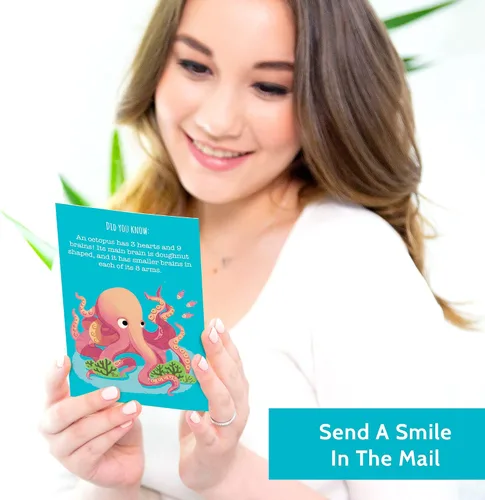 Miniatura 4 de T MARIE 40 postales divertidas de animales – Paquete de postales a granel Thinking of You para niños, estudiantes, amigos, profesores y más – Di