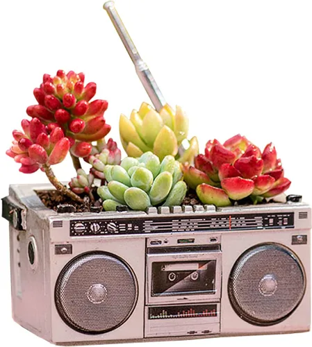 Miniatura 7 de Macetas de madera, mini maceta, maceta retro de resina para suculentas, bonsái, soporte de escritorio, mini adorno (caoba radio)