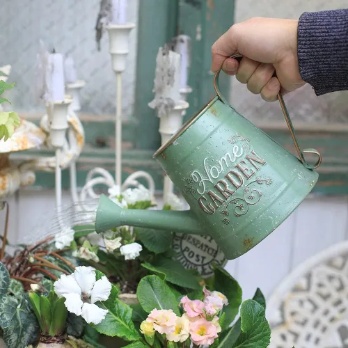Miniatura 5 de Linda regadera pequeña para plantas de interior, jardín, regaderas decorativas de metal para plantas de exterior, bonsái, jardín exterior, flores