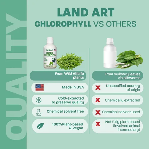 Miniatura 6 de Land Art - Menta de clorofila líquida - Extraída en frío de alfalfa silvestre sin OMG - Clorofila Liquida natural - Antioxidante - Suplemento
