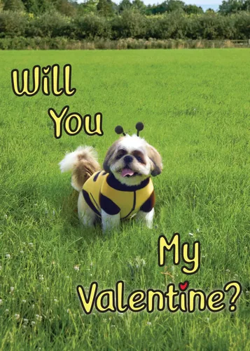 Miniatura 8 de Glory To Dog A Little Valentine's Toast - Tarjeta de felicitación con sobre de correo para tarjetas de felicitación