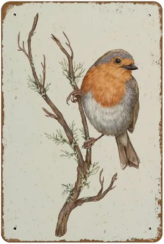 Robin Bird Giclée Print Robin Ilustración Jardín Pájaro Arte de Pared Arte Minimalista Pájaro en rama Arte Novedad Busted Knuckle Garaje Soldadura