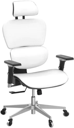 Miniatura 6 de Oline ErgoPro Silla de oficina ergonómica con reposa-brazos ajustable 4D, soporte lumbar 3D y ruedas delgadas – Silla de escritorio rodante de malla