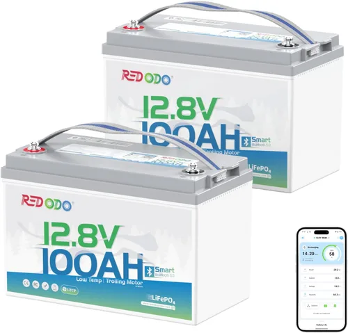 Miniatura 32 de Redodo Paquete de 4 baterías LiFePO4 de 12 V 100 Ah, baterías de ciclo profundo con BMS de 100 A, baterías del grupo 31 para 10 años de vida útil