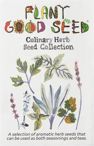 Miniatura 2 de Plant Good Seed Semillas de anís, paquete de 125 semillas tradicionales para plantar hierbas y flores, suministros de jardinería, flores silvestres