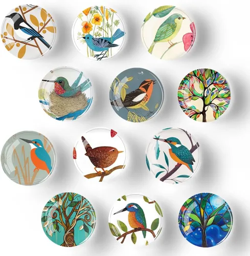 12 imanes de pájaros para refrigerador, imán redondo magnético de vidrio para decoración de nevera para taquilla, oficina escolar, pizarra blanca,