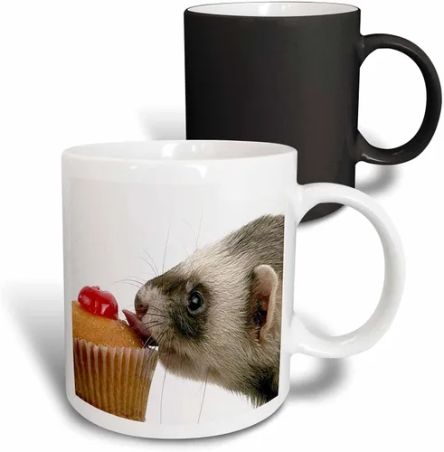 Miniatura 11 de 3dRose mug_17288_4 Hurón Eating Cupcake - Taza negra de dos tonos, multicolor, 11 onzas Blanco
