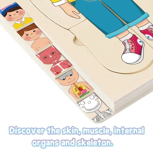 Miniatura 4 de Rompecabezas de madera para niños pequeños y niños, rompecabezas de anatomía Montessori para niños, juego preescolar de aprendizaje de cuerpo