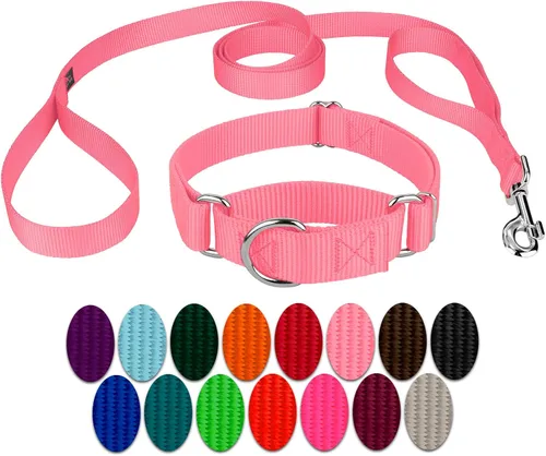Miniatura 23 de Country Brook Petz - Collar para perro de nailon resistente Martingala azul hielo y correa de doble asa (1 pulgada, grande)