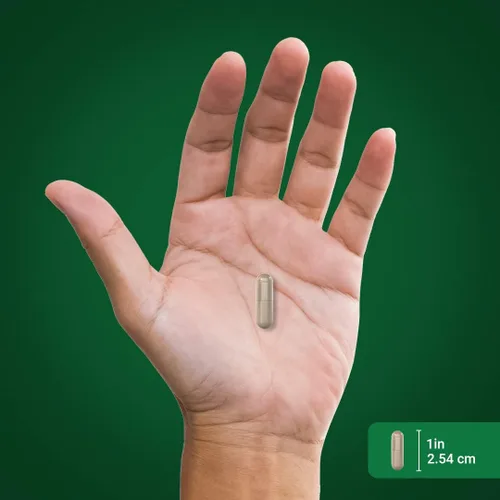 Miniatura 6 de Piping Rock Cápsulas Shilajit 90 unidades Ácido fúlvico del Himalaya Suplemento sin OMG, sin gluten