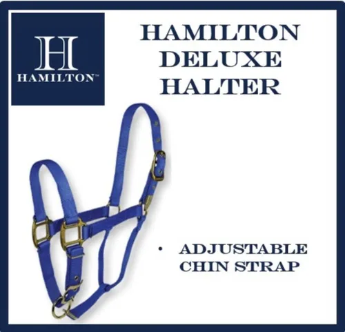 Miniatura 4 de Hamilton Caballo de lujo Halter, nailon de triple capa de 3/4 pulgadas con correa ajustable para la barbilla, potro o mini caballo, 100-200 libras