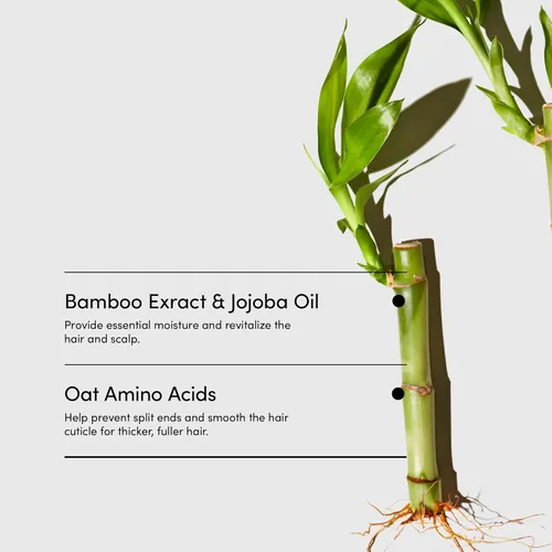 Miniatura 5 de LATHER Acondicionador de enjuague de crema de bambú Acondicionador de aceite esencial Acondicionador con bambú, aceite de jojoba y aloe vera