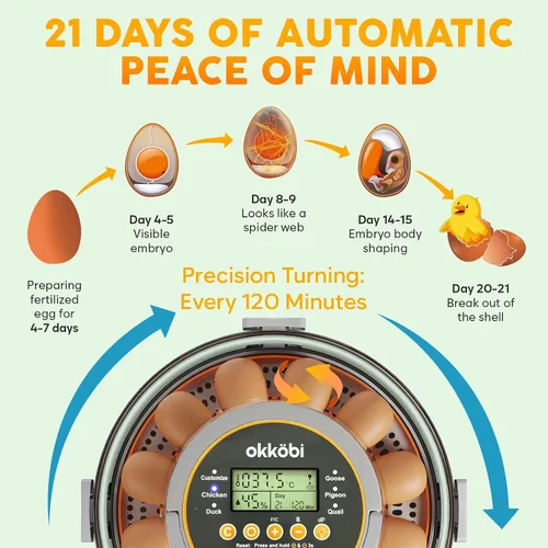 Miniatura 2 de Incubadora de 12 huevos con giro automático de huevos y control de humedad - Ajuste de temperatura - incubadoras para incubar huevos - Candler