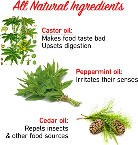 Miniatura 4 de I Must Garden - Repelente de topos y campañoles: fuerza profesional, el doble de cobertura, todos los ingredientes naturales, tarro agitador de 4