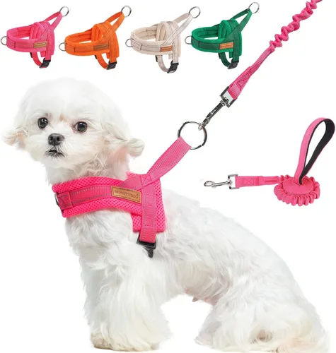 Miniatura 17 de BEAUTYZOO Arnés para Perros Pequeños, Juego de Arnés y Correa sin Tirones, Arnés de Chaleco para Cachorros Suave a Prueba de Escapes con Manija