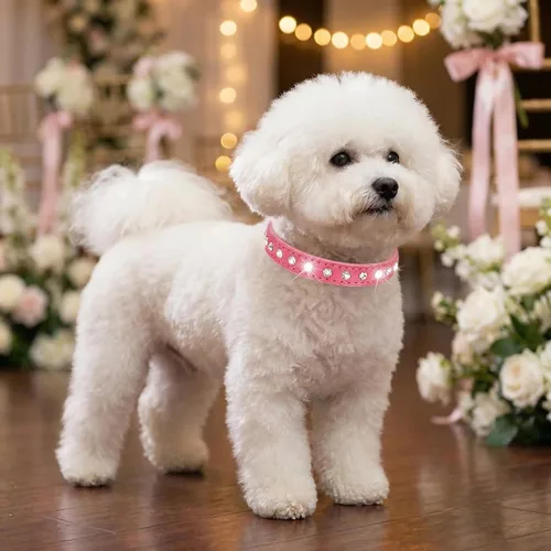 Collar de Perro de Cuero de Gamuza con Pedrería de Cristal Diamante Colorido Brillante para Cachorras y Gatos Collares XS Mascotas Pequeñas (XS,