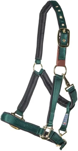 Miniatura 8 de Dura-Tech Cabestro de caballo totalmente acolchado de lujo Superposición de tela de nailon de doble capa de 1 pulgada Hardware resistente