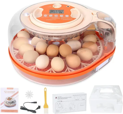 Miniatura 12 de Incubadora de 24 huevos para eclosión con volteador automático, control inteligente de temperatura y humedad, visualización de 360°, ovoscopio